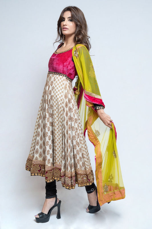 Velvet Long Sleeve Multicolor Anarkali