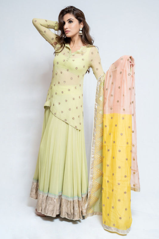 Pastel Green and Yellow Sharara